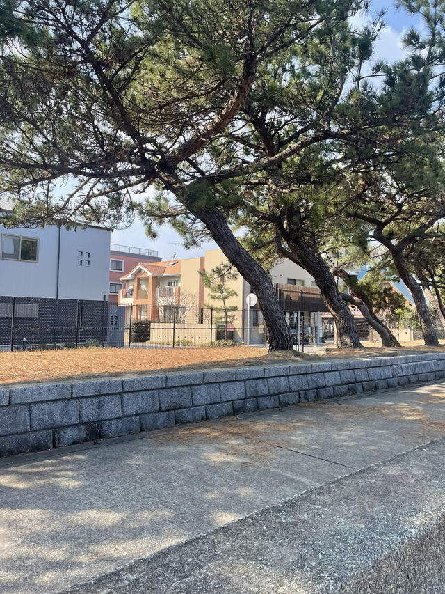 [일본 후쿠오카🇯🇵]나만 아는 힐링 장소:후쿠하마 해변