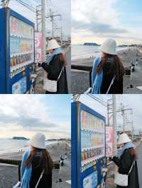 🇯🇵 鐮倉 一起在夏天去鐮倉看海吧🌊