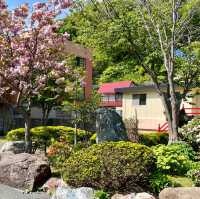 Serene Sanctuary in Wakkanai's Heart