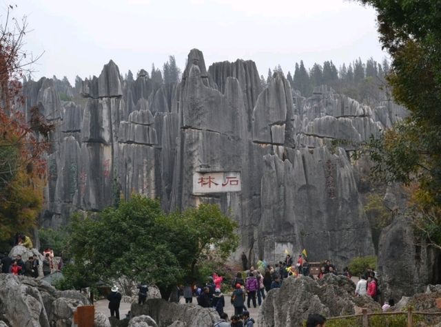 A magnificient stone forest formation, Shi-Lin Stone Forest