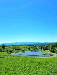 【熊本/ジブリの世界】秘境にあった、美しすぎる水源✨️