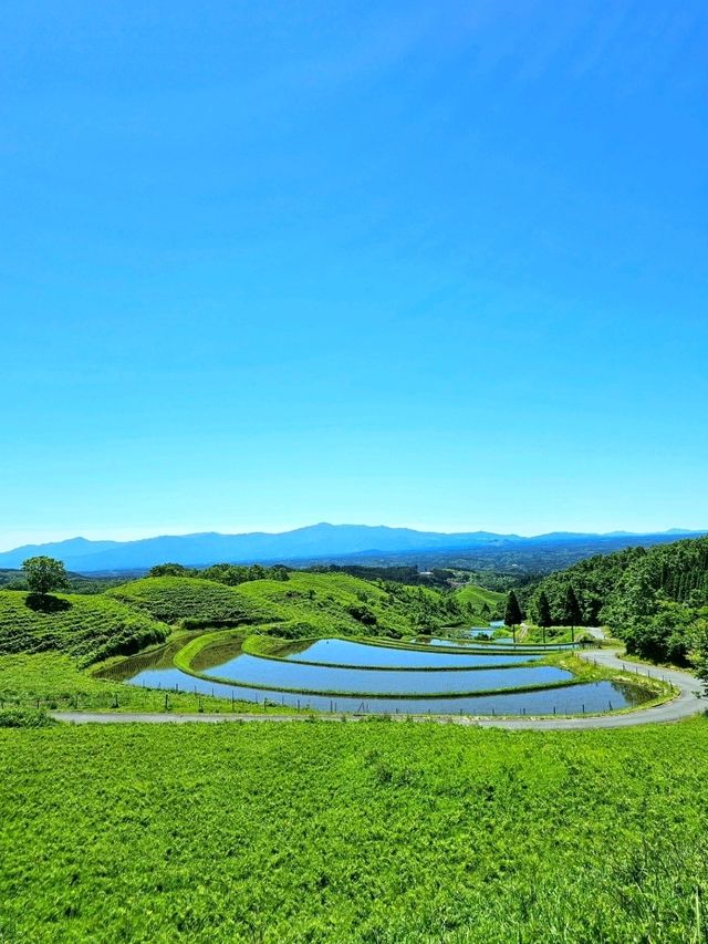 【熊本/ジブリの世界】秘境にあった、美しすぎる水源✨️