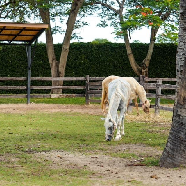 Rancho Charnvee ที่พักเข้าใหญ่ กิจกรรมเพียบ