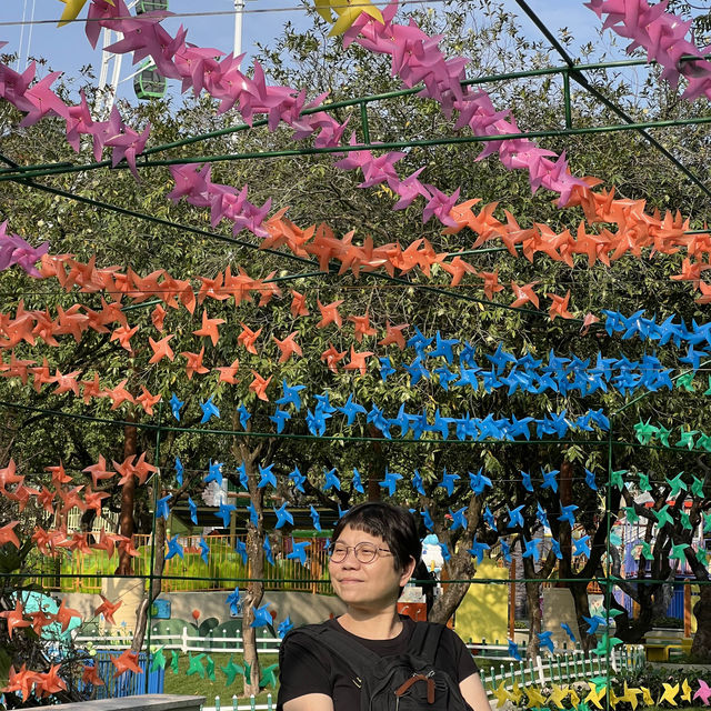 【中山紫馬嶺動物園】乾淨整潔，零距離接觸大笨象🐘！