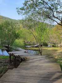 Pyeonggang Land