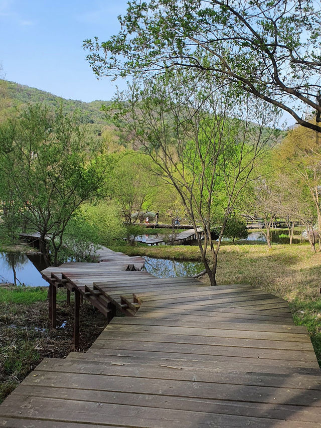 Pyeonggang Land