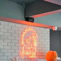 🚐 Aomkod Cafe & Baristro คาเฟ่สไตล์สวนป่า
