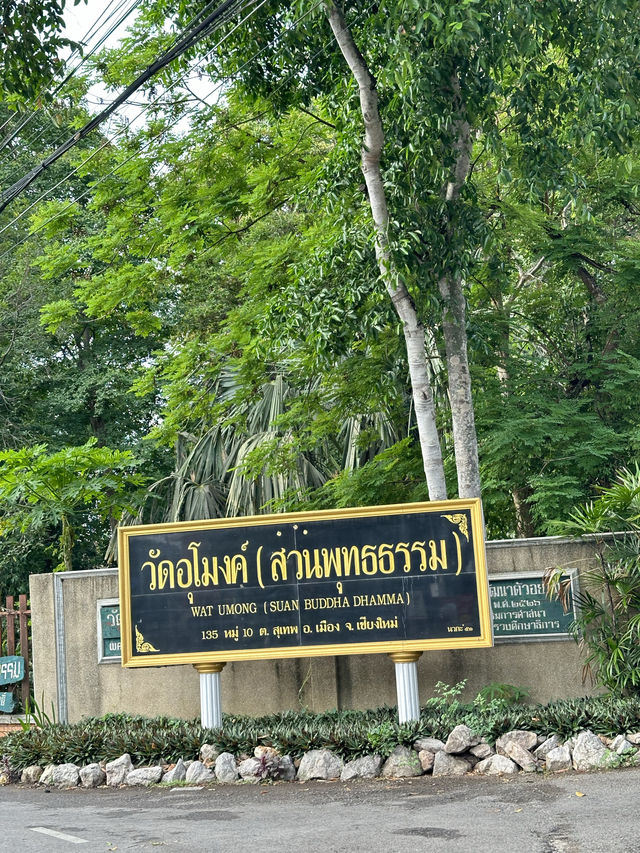 📍วัดอุโมงค์ ไหว้ขอพรวัดโบราณสวยงามด้วยธรรมชาติ