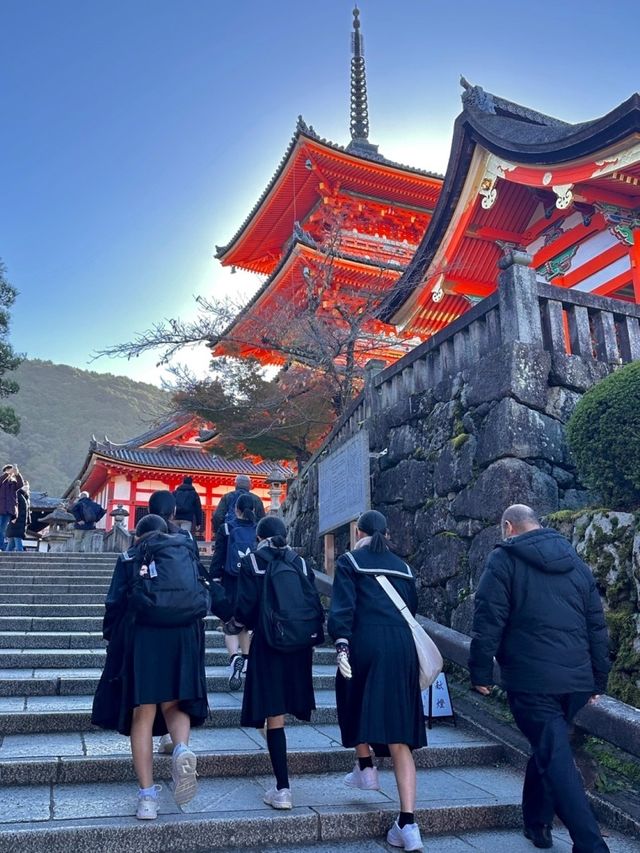 🇯🇵교토 기요미즈데라 청수사