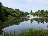 日本東京-夏日消暑好去處：井之頭恩賜公園