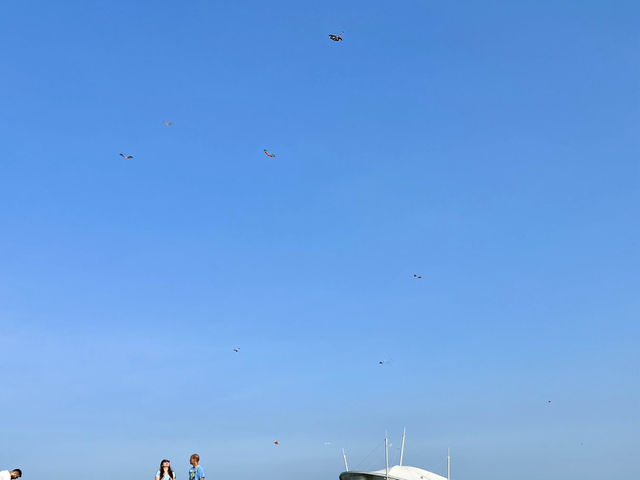 Marina Barrage สิงคโปร์