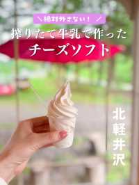 搾りたて牛乳で作ったチーズソフト🍦🧀