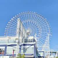 Tempozan Ferris Wheel  