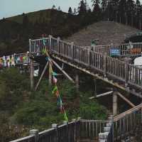 Tianlu Shiba Wan: A Thrilling Journey Along China's Winding Roads