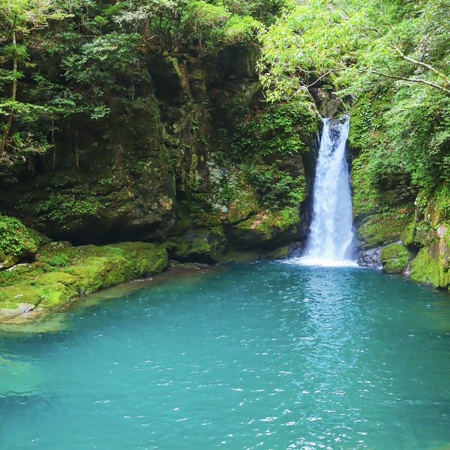 【高知】透明度抜群の滝壺で仁淀ブルーの絶景を