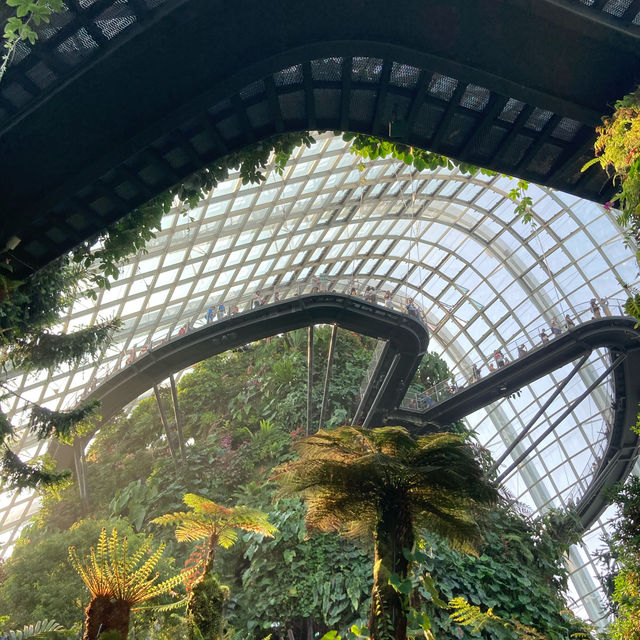 【新加坡景點】濱海灣花園雲霧森林玻璃屋：夢幻迷離的大自然美好，讓你流連忘返