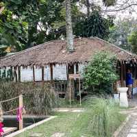 RUPA SPACE | STILL FRESH FROM CISAUK TANGERANG