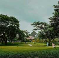 🌳คาเฟ่ในสวน บรรยากาศดี @กาญจนบุรี