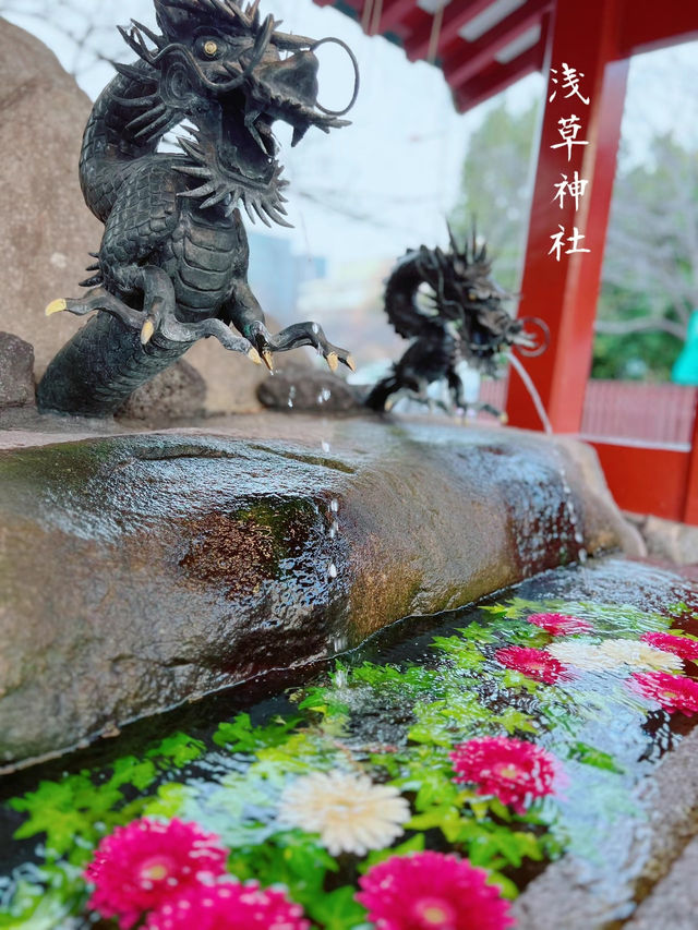 【東京】御朱印巡り❁⃘浅草寺のお隣りに佇む神社⛩