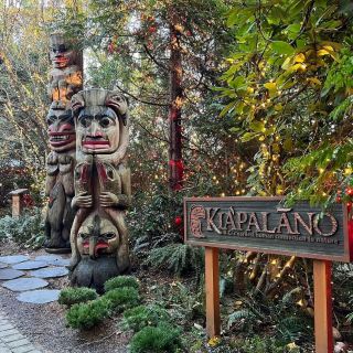 Capilano suspense Bridge Park