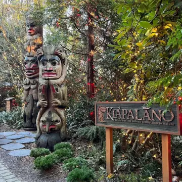 Capilano suspense Bridge Park