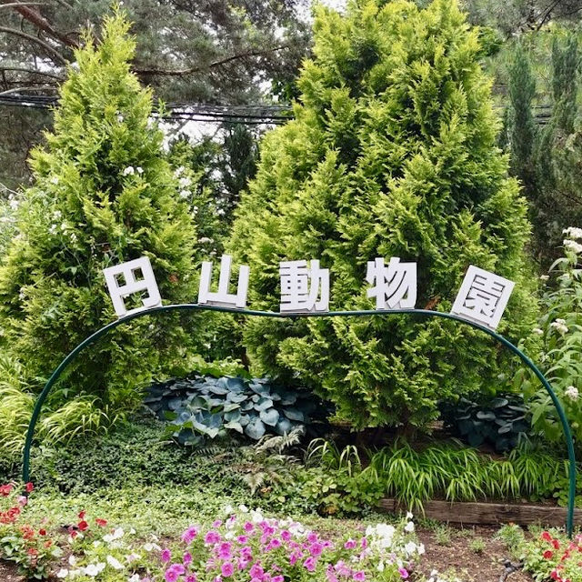 札幌圓山北極熊館-還原極地的環境，令遊客有更好觀賞體驗
