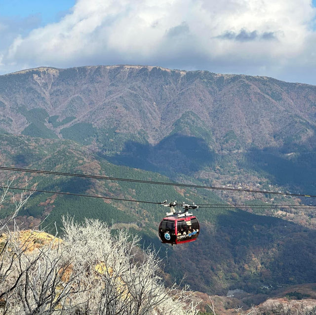 Anchors Aweigh in Hakone: Pirate Cruise and Ropeway Adventure