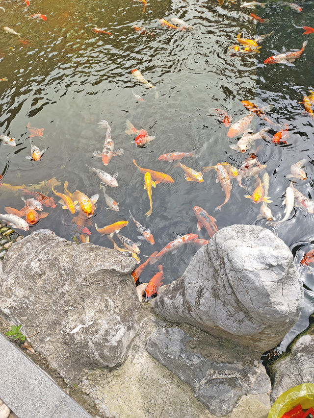 有着999尊佛像的万佛讲寺