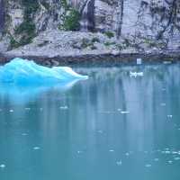 Breath taking cruise 🚢 to Alaska with Ovations of the Seas 