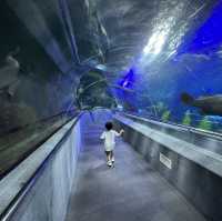 Aquarium Vinpreal Nha Trang