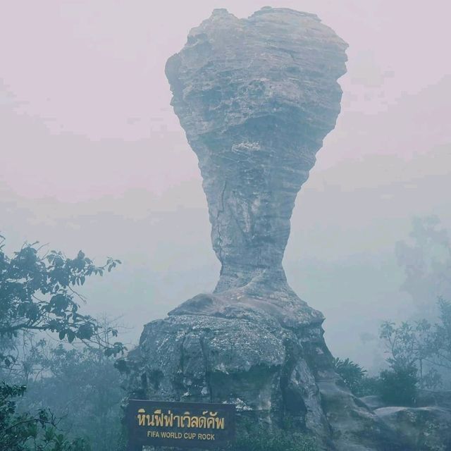 ป่าหินในสายหม่านหมอก