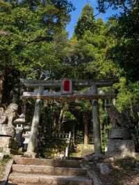 〜鳥取県〜試練に勝つ！復興と再生のパワースポット神社！