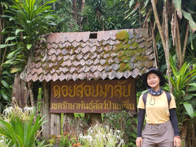 อุทยานแห่งชาติดอยสอยมาลัย
