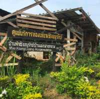 นาข้าวขั้นบันได แม่กลางหลวง