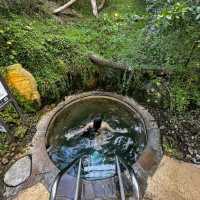 Peninsula hot spring review 