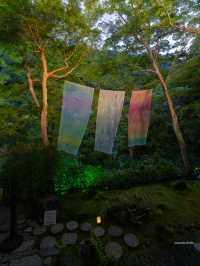 京都の舞妓、芸妓憧れの地『嵐山祐斎亭』日本の美と自然唯一無二の世界観アートを感じられます💫