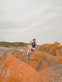 📍Bay of Fires