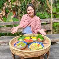 โฮมสเตย์กลางป่าบ้านป่าเมี้ยง วิถีชาวป่า ฮีลใจ