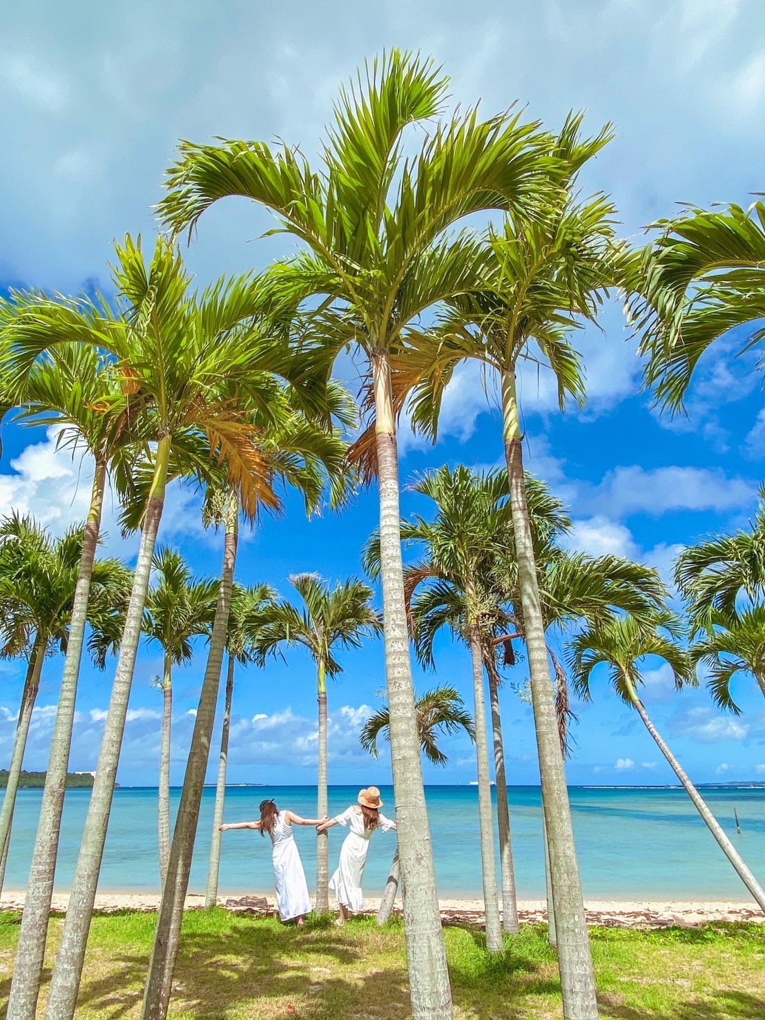 沖縄】ヤシの木が南国感満載の「恋人の聖地」 | Trip.com 本部町