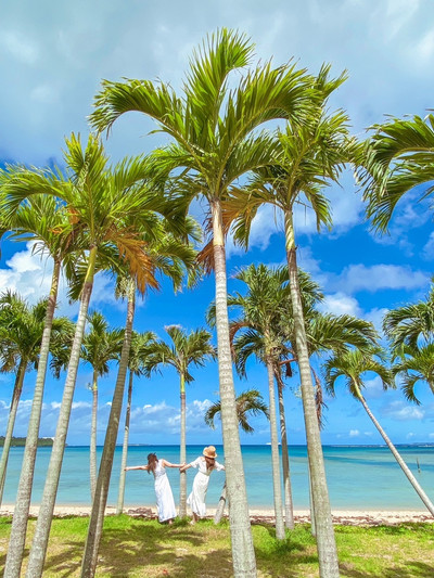 沖縄】ヤシの木が南国感満載の「恋人の聖地」 | Trip.com 本部町