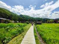 A Springtime Escape to Shirakawago