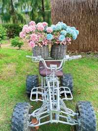 ไปเที่ยวคาเฟ่กันที่ florista cafe