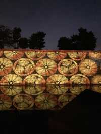 【京都旅】期間限定 ライトアップされた夜の二条城