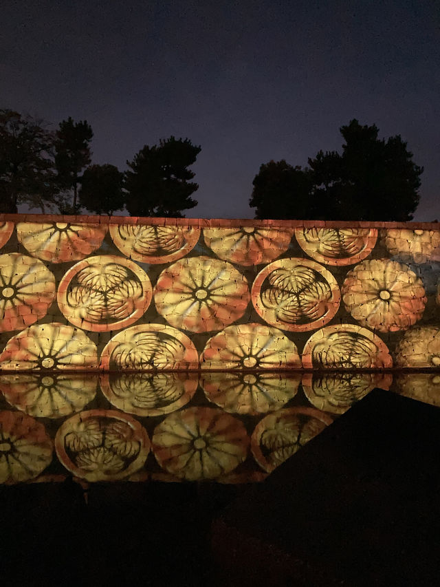 【京都旅】期間限定 ライトアップされた夜の二条城