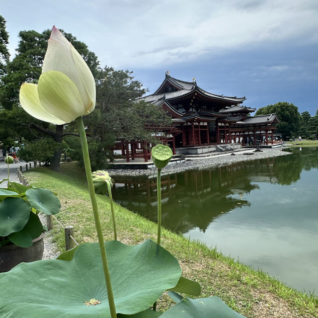 Byodoin Temple