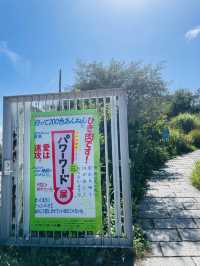 【兵庫県:六甲山】シダレミュージアムで開催中「パワーワード展」