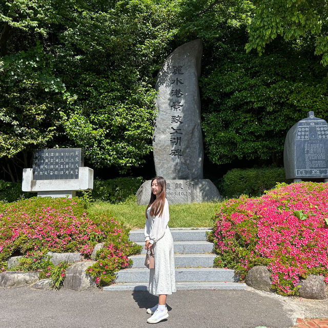 여름 여수여행의 꽃, 힐링 그 자체인 오동도🌺 용굴이랑 음악분수 앞 인생샷은 필수!