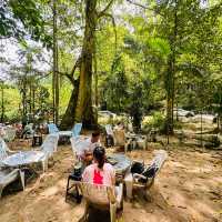 A Hidden Gem in Tokun Forest