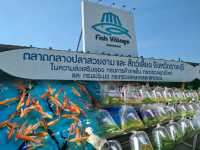 ตลาดกลางปลาสวยงาม fish village บ้านโป่ง