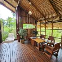 คาเฟ่แบบสโลว์บาร์ Go Back Home
